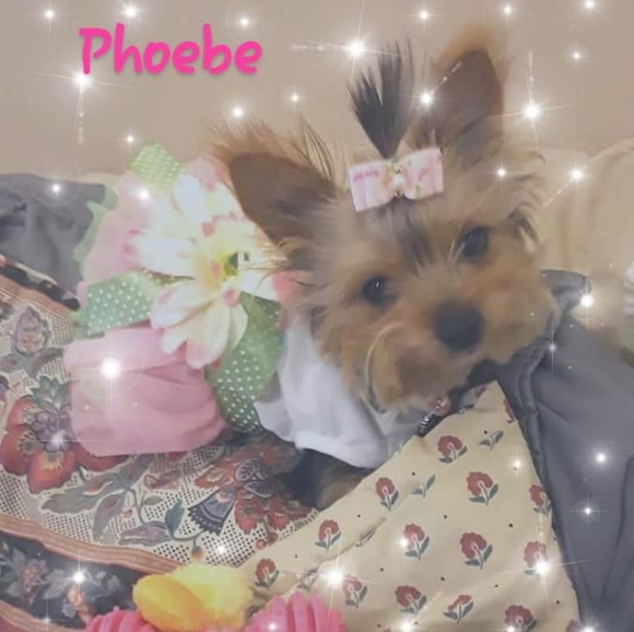 Meet your Posher, Marla - Picture 7 of 8